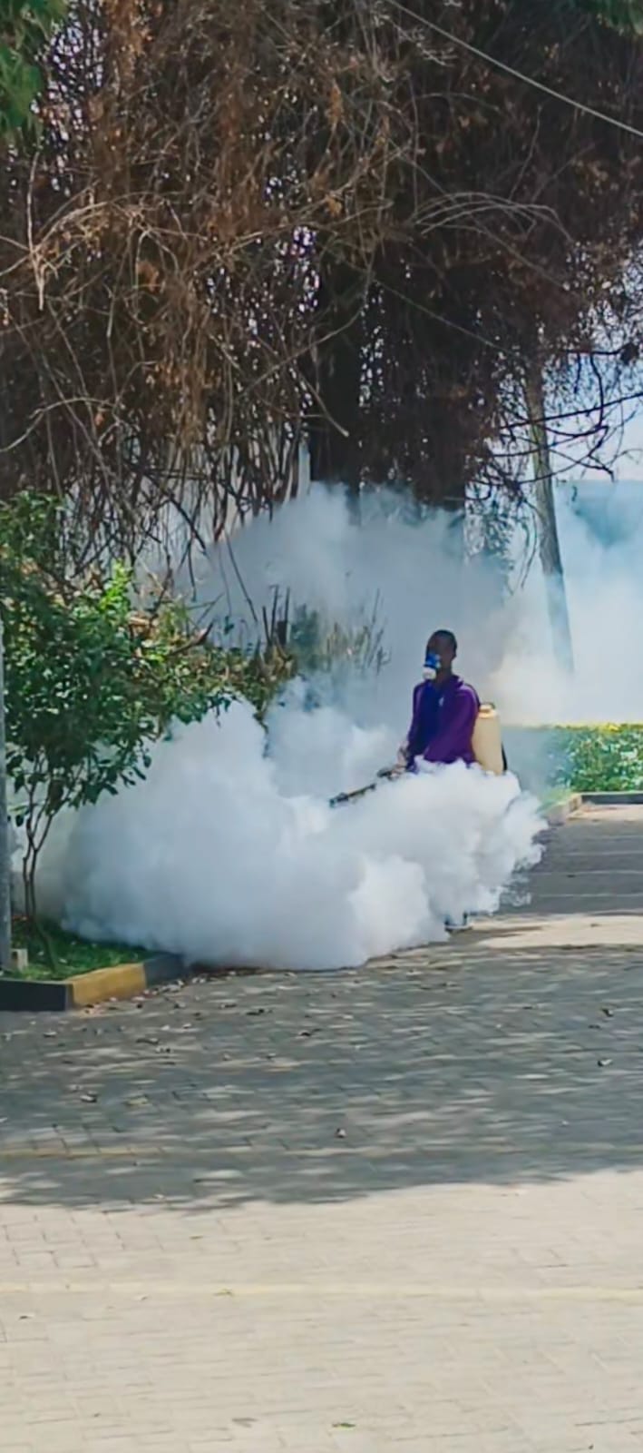 5 Signs You Need Professional Pest Control in Nairobi