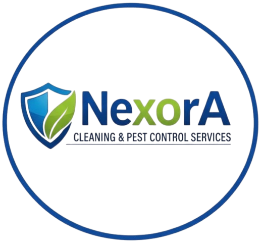 Nexora Logo
