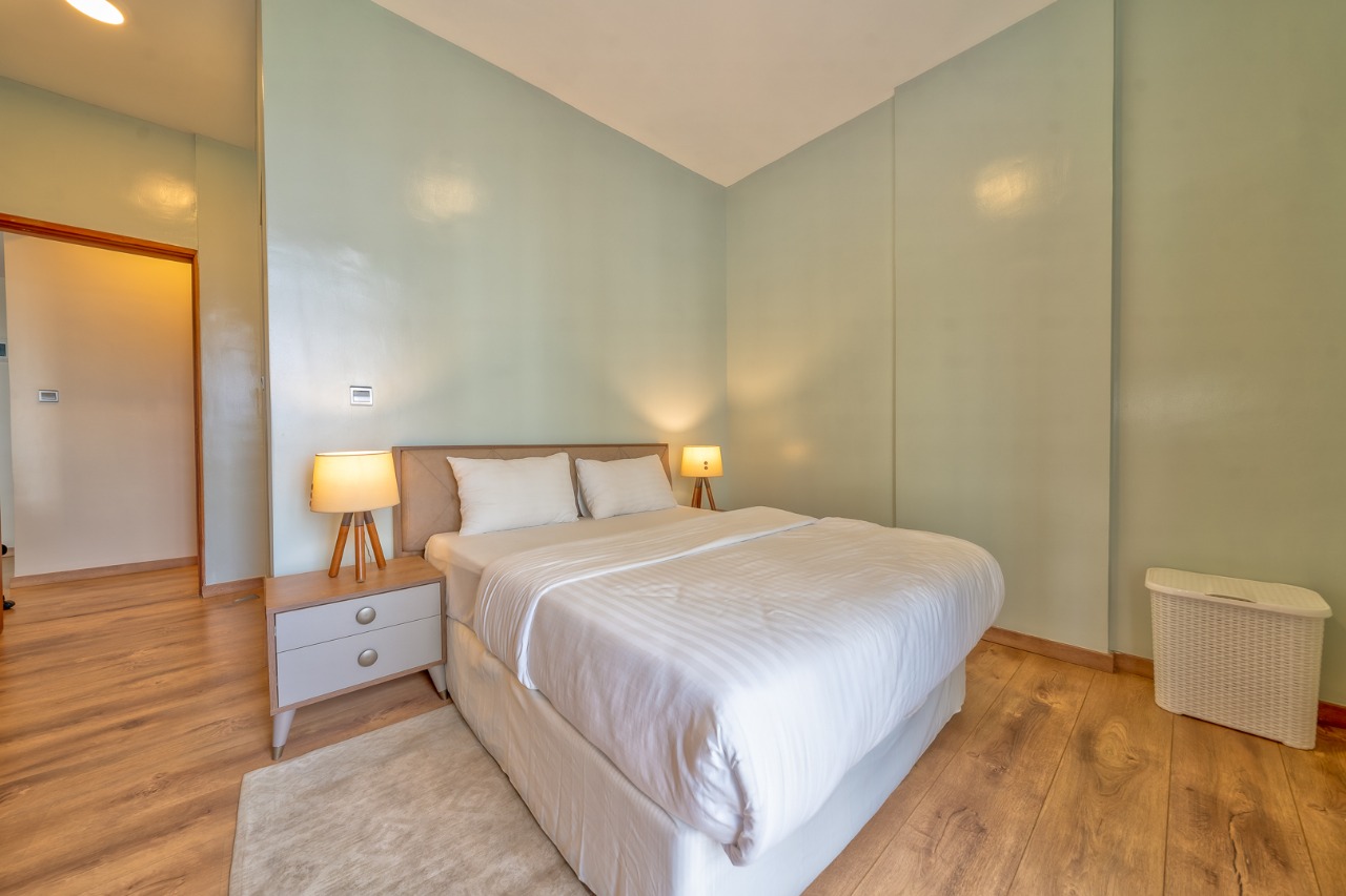 Professional Mattress Cleaning and Sanitization