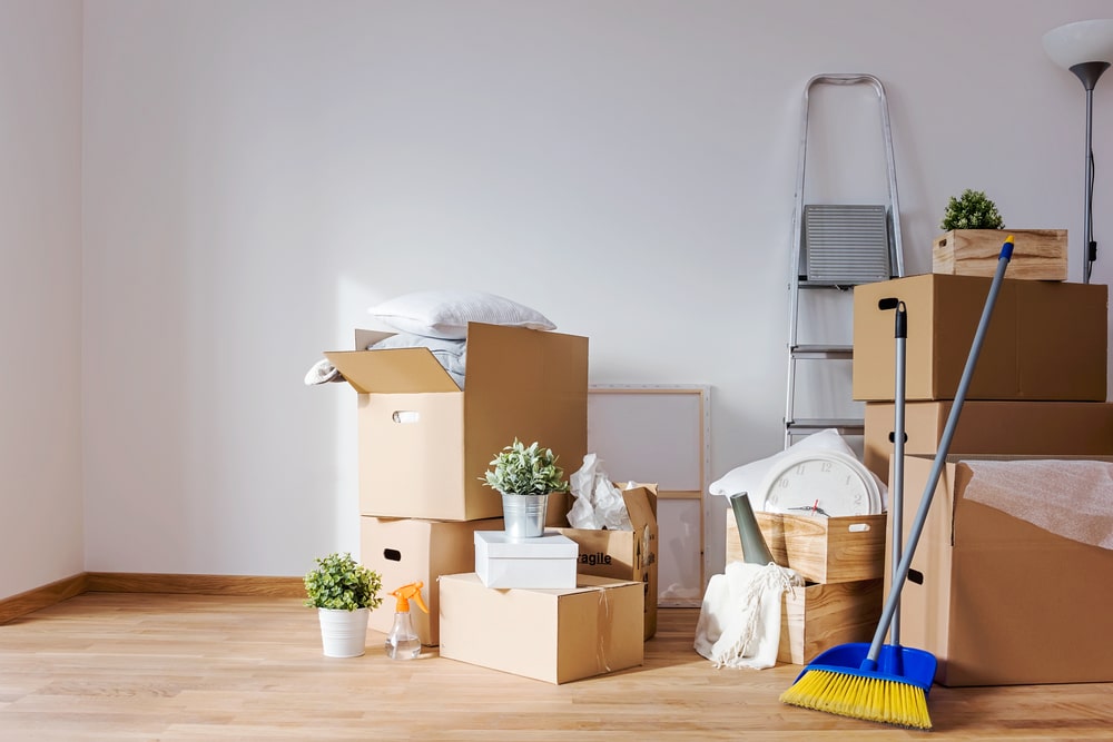 Move-In / Move-Out Deep Clean